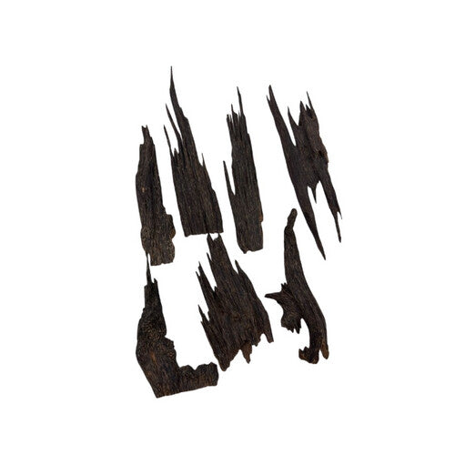 هندي ملكي VIP